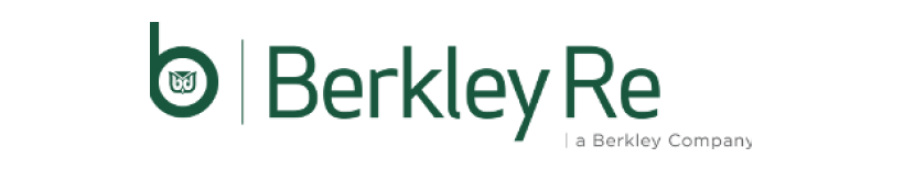 Berkley IT Logo
